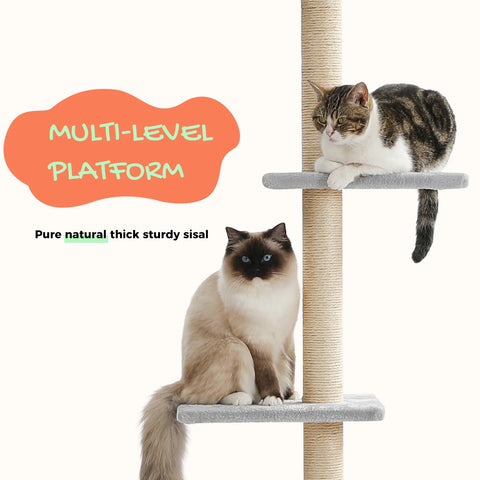 Domestic Delivery Height 238-274cm Cat Tree Condo Scratching Post Floor to Ceiling Adjustable Cat Scratcher Protecting Furniture