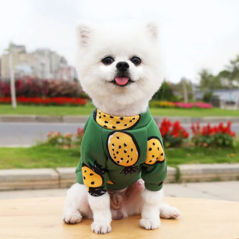 Cartoon Print Cute Pet Clothes for Small Dogs Cats Warm Vest Leisure Shirt Puppy Kitten Accessory Clothes