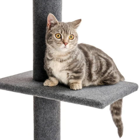 Domestic Delivery Height 238-274cm Cat Tree Condo Scratching Post Floor to Ceiling Adjustable Cat Scratcher Protecting Furniture