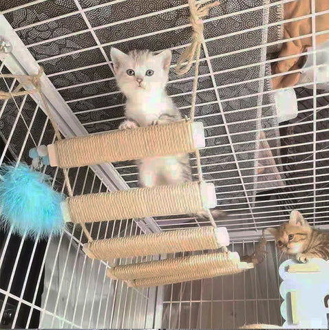 Various Sizes Cat Bridge Use for Cat Cage Sisal Rope Cat Ladder Pet Furniture Cat Step Scratcher Post Kitten Toys Cat Tree Tower