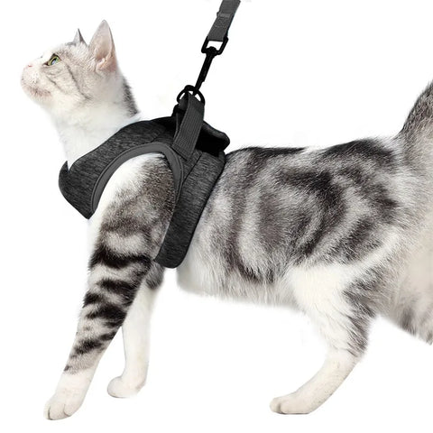 Adjustable Anti-Escape Small Cat Belt Kitten Harness Light Breathable Soft Pet Vest Wiring Harness Traction Belt Kitten Walking