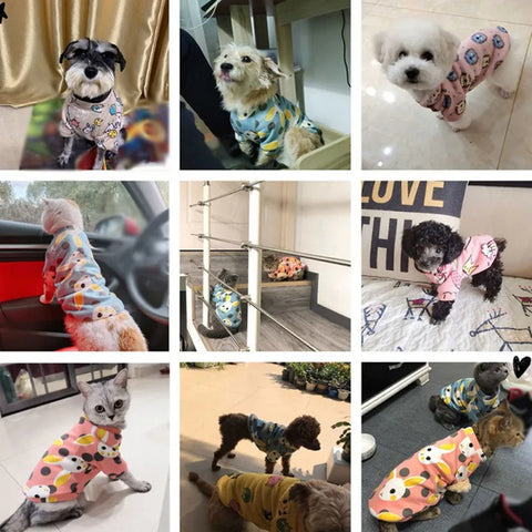 Cartoon Print Cute Pet Clothes for Small Dogs Cats Warm Vest Leisure Shirt Puppy Kitten Accessory Clothes