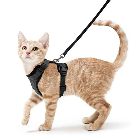 Cat Harness and Leash for Walking,Escape Proof Soft Adjustable Vest Harnesses for Cat,Breathable Reflective Strips Jacket