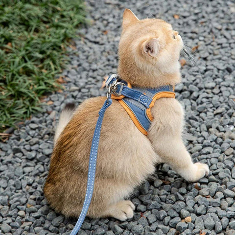 Cat Harness Leash Set Breathable Kitten Cats Harnesses With Reflective Strip Small Dog Puppy Harness Pet Chest Strap For Cat Dog