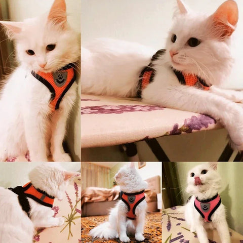 Cat Harness Vest Walking Lead Leash for Puppy Dogs Collar Adjustable Mesh Dog Harness for Small Medium Dogs Kitten Accessories