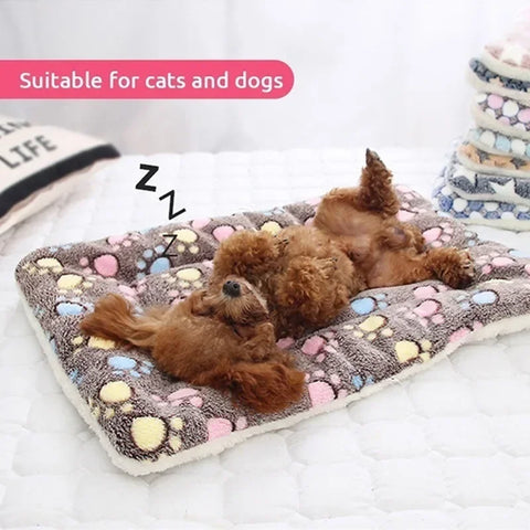 Pet Sleeping Mat Dog Bed Cat Bed Soft Hair Thickened Blanket Pad Fleece Home Washable Warm Bear Pattern Blanket Pet Supplies