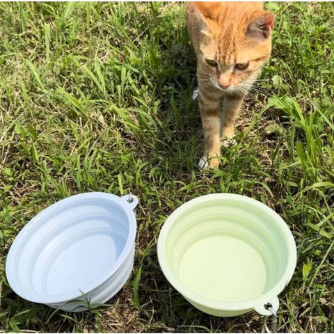 1 pc Collapsible dog bowl 350ml, travel dog water bowl with buckle, silicone portable dog food bowl suitable for cat and dog wa