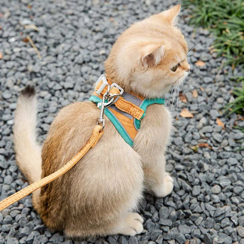 Cat Harness Leash Set Breathable Kitten Cats Harnesses With Reflective Strip Small Dog Puppy Harness Pet Chest Strap For Cat Dog