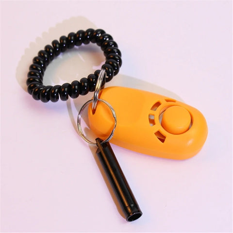 Dog Training Clickers and in Consistent Positive Reinforcements for Dog Fix Undesired Behaviors