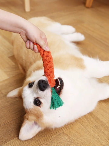 1PC Dog Toy Carrot Knot Rope Ball Cotton Rope Dumbbell Puppy Cleaning Teeth Chew Toy Durable Braided Bite Resistant Pet Supplies