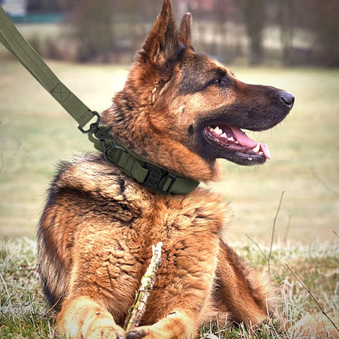 Dog Collar Durable Tactical Leash Set Adjustable Pet Collar Leash Medium Large Dog German Shepherd Training Accessories