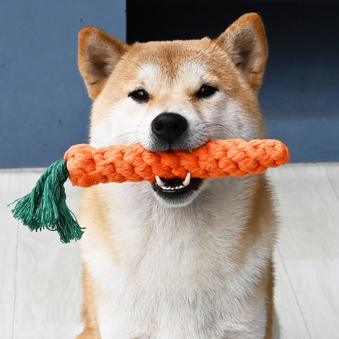 1PC Dog Toy Carrot Knot Rope Ball Cotton Rope Dumbbell Puppy Cleaning Teeth Chew Toy Durable Braided Bite Resistant Pet Supplies