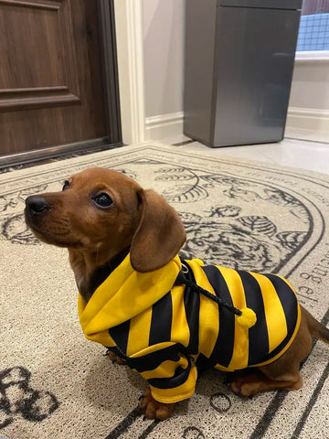 Pet Bee Suit Cosplay Clothes Cat Dog Quirky Funny Hooded Sweatshirt  Dog Halloween Costume