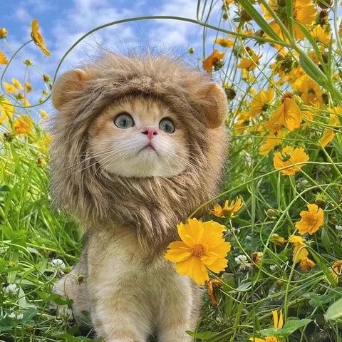 Cat Costume Cute Lion Mane Cat Wig Hat Cosplay Clothes Cap Dress Up Puppy Kitten Halloween Christmas Party Decoration Supplies