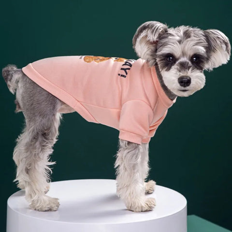 Dogs Winter Cute Clothes Puppy Warm Pullover Sweatshirt Bear Pattern Pet Jacket for Small Medium Dog Cat Coats Chihuahua Costume