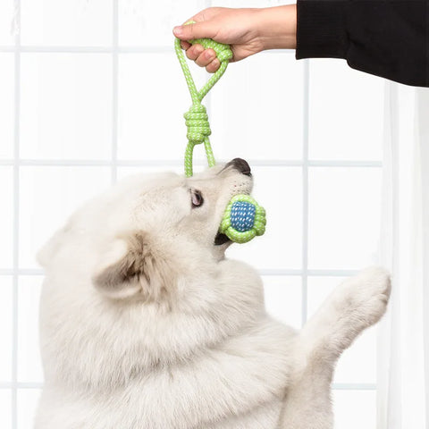 Pet Dog Toys for Large Small Dogs Toy Interactive Cotton Rope Mini Dog Toys Ball for Dogs Accessories Toothbrush Chew Puppy Toy