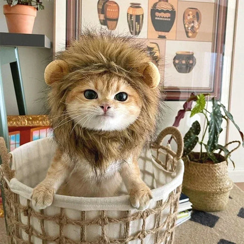 Cat Costume Cute Lion Mane Cat Wig Hat Cosplay Clothes Cap Dress Up Puppy Kitten Halloween Christmas Party Decoration Supplies