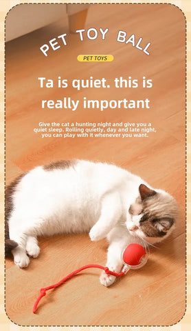 Rechargeable Smart Pet Interactive Automatic Rolling Ball Toy Cats Pet Products New Electric Dog Ball Toy Simulated Tail For Cat