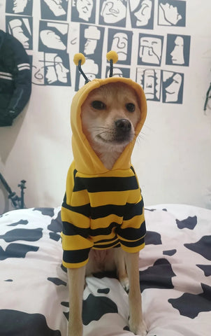 Pet Bee Suit Cosplay Clothes Cat Dog Quirky Funny Hooded Sweatshirt  Dog Halloween Costume