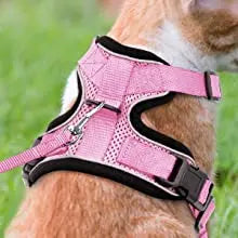 Cat Harness and Leash for Walking,Escape Proof Soft Adjustable Vest Harnesses for Cat,Breathable Reflective Strips Jacket