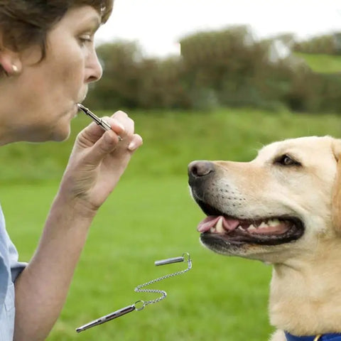 Dog Barking Stainless Steel Dog Silent Ultrasonic Sound Trainer Stainless Steel Training Behavior Aids Dog Whistle