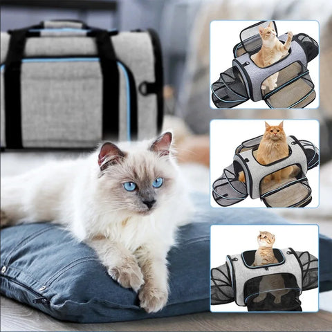 Pet Carriers Backpack Portable Breathable Foldable Cat Bag Transport for Cats Dog Carrier Bags Outdoor Travel Pets Transport Bag