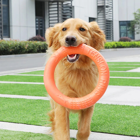 1PCS Orange Dog Toys Pet Flying Disk Training Ring Puller EVA Interactive Training Ring Puller Resistant for Dogs Training Toys