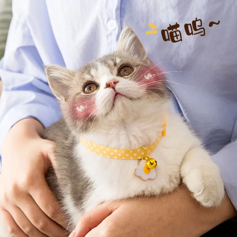 New Adjustable Kitten Collar with Bell Cut Pet Cat Collars Breakaway Cats Necklace Puppy Collar Cat Supplies Cat Accessories