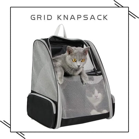 Pet Carrier Bag Breathable Foldable Portable Cat Backpack Outdoor Travel Transport Bag For Cats And Puppy Carrying Pet Supplies