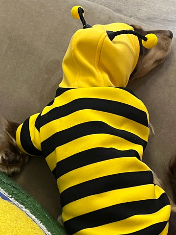 Pet Bee Suit Cosplay Clothes Cat Dog Quirky Funny Hooded Sweatshirt  Dog Halloween Costume