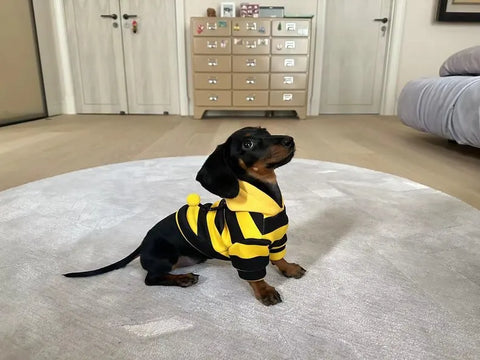 Pet Bee Suit Cosplay Clothes Cat Dog Quirky Funny Hooded Sweatshirt  Dog Halloween Costume